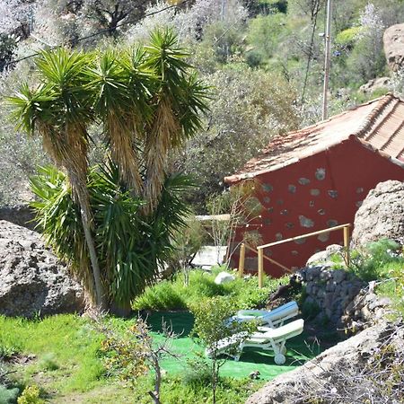 הוילה Casa Cueva El Pedregal Tejeda מראה חיצוני תמונה