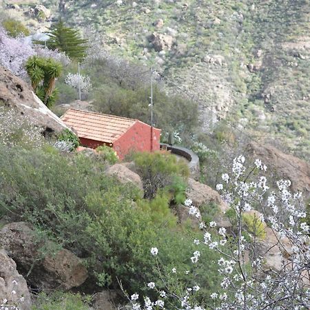 הוילה Casa Cueva El Pedregal Tejeda מראה חיצוני תמונה