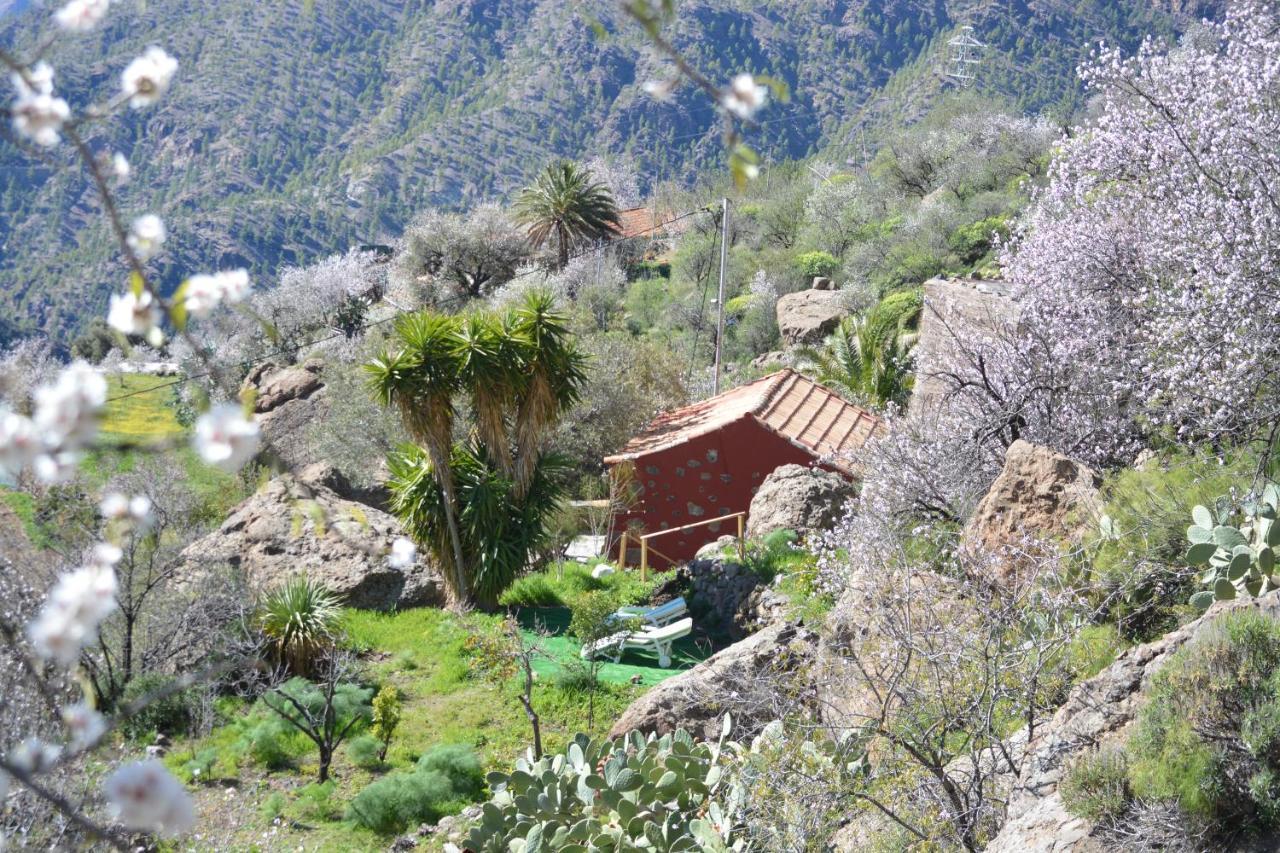 הוילה Casa Cueva El Pedregal Tejeda מראה חיצוני תמונה
