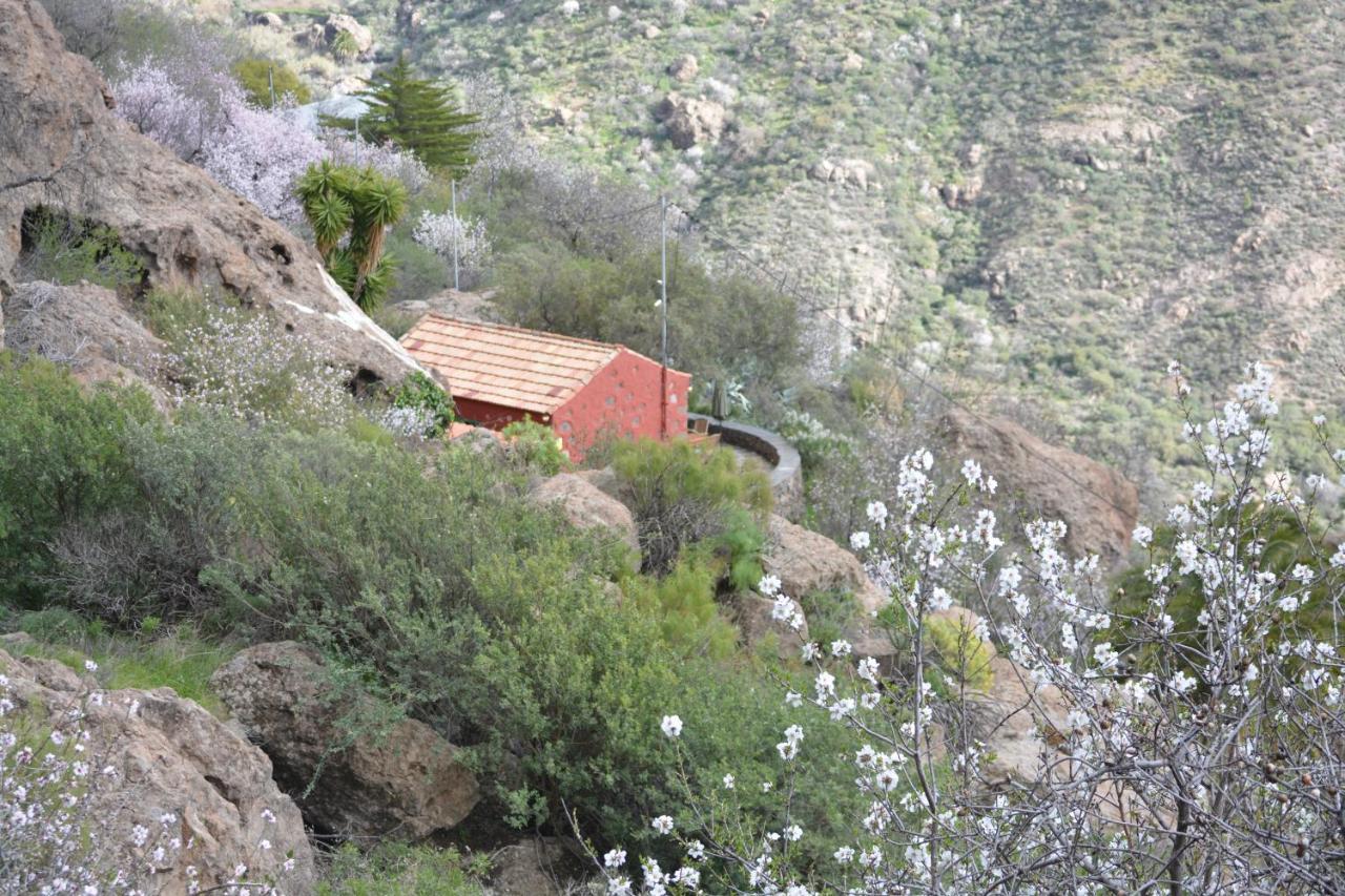 הוילה Casa Cueva El Pedregal Tejeda מראה חיצוני תמונה