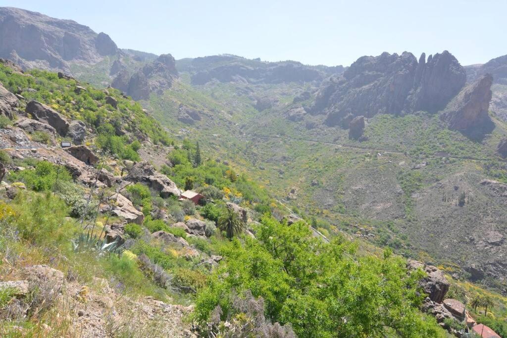 הוילה Casa Cueva El Pedregal Tejeda מראה חיצוני תמונה