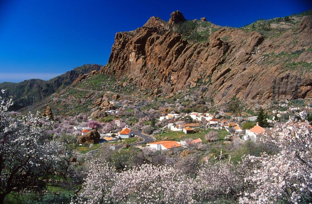 הוילה Casa Cueva El Pedregal Tejeda מראה חיצוני תמונה