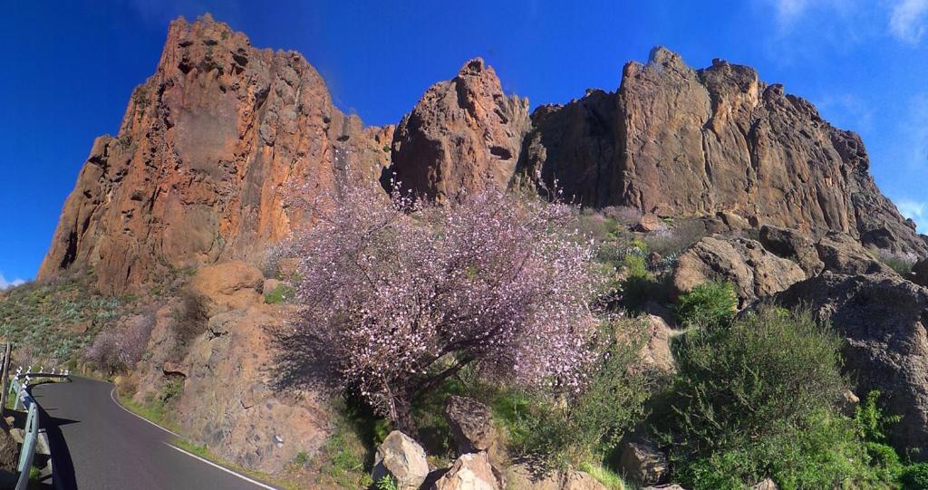 הוילה Casa Cueva El Pedregal Tejeda מראה חיצוני תמונה